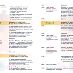 Programme du colloque franco-tunisien TSA – sessions et tables rondes